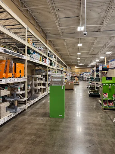 PETSMART polished concrete floor in LARGO, FL - photo 1
